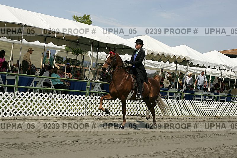 Proof upha_05__0239