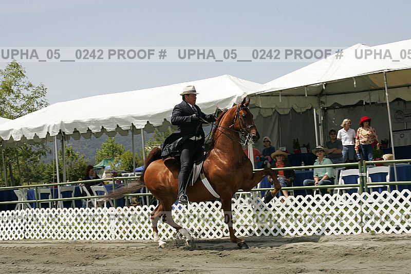 Proof upha_05__0242