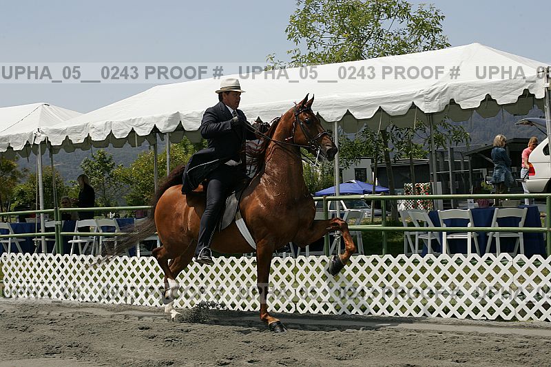 Proof upha_05__0243
