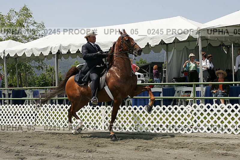 Proof upha_05__0245
