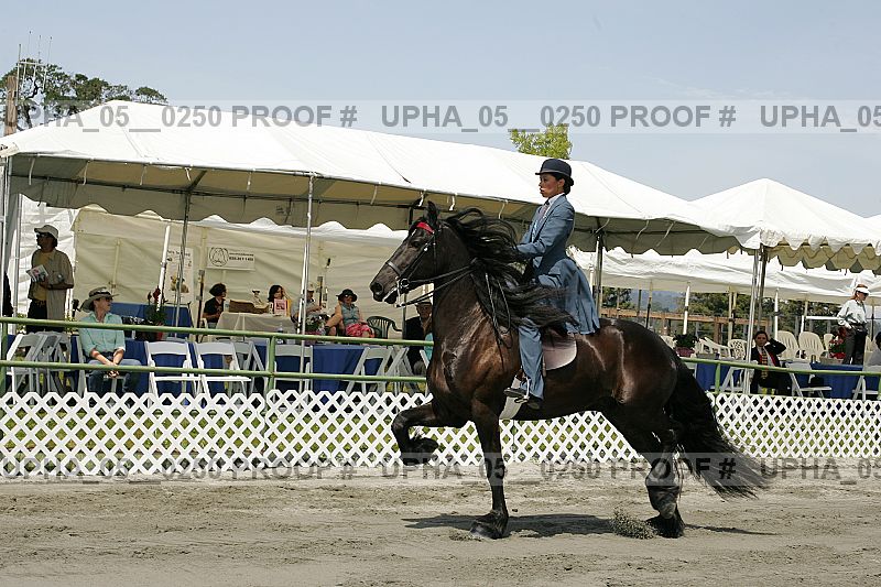 Proof upha_05__0250