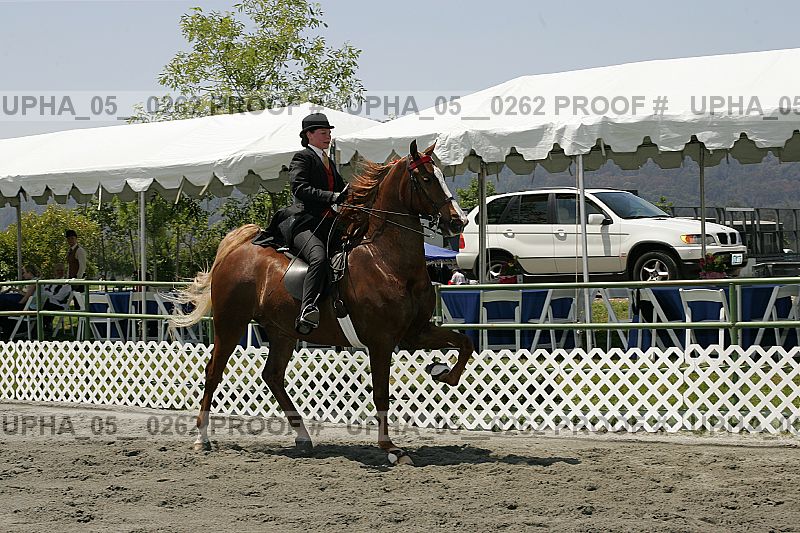 Proof upha_05__0262