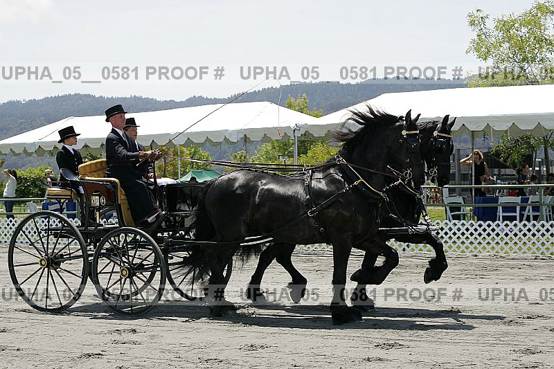 Proof upha_05__0581