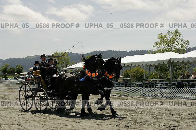 Proof upha_05__0586