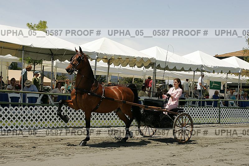 Proof upha_05__0587