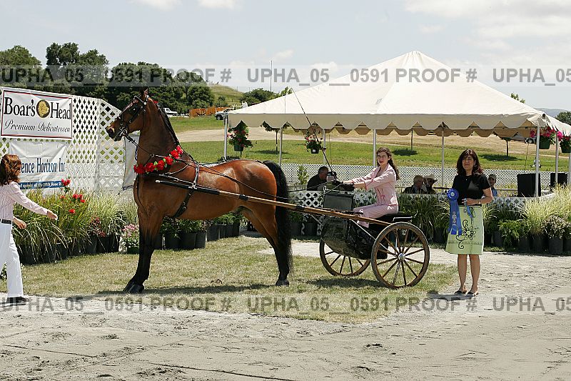 Proof upha_05__0591