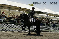 Proof upha_05__0596