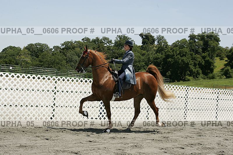 Proof upha_05__0606