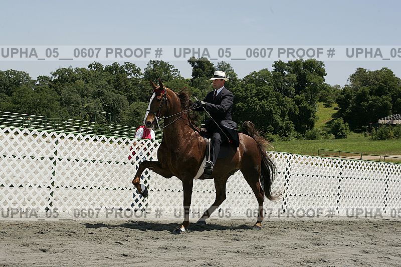 Proof upha_05__0607