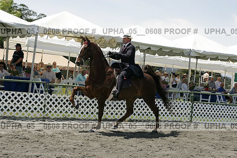 Proof upha_05__0608