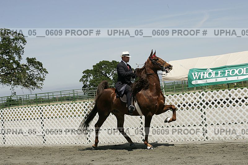 Proof upha_05__0609