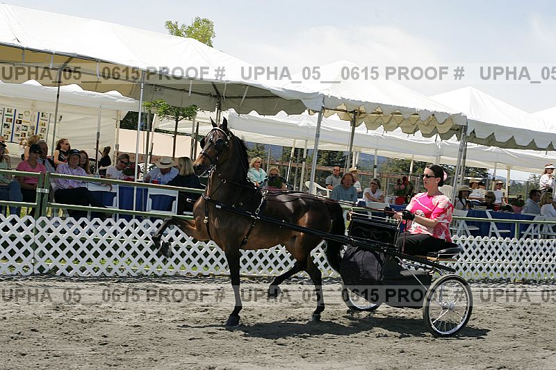 Proof upha_05__0615