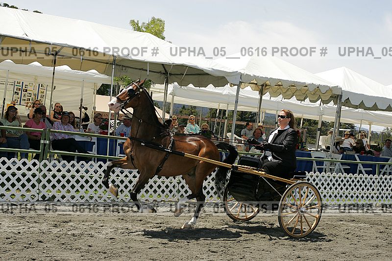 Proof upha_05__0616