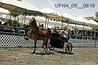 Proof upha_05__0619