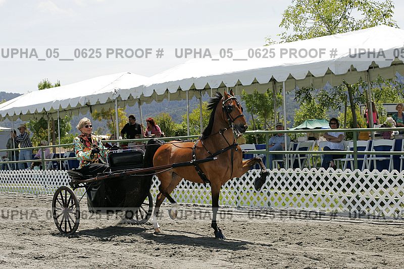 Proof upha_05__0625