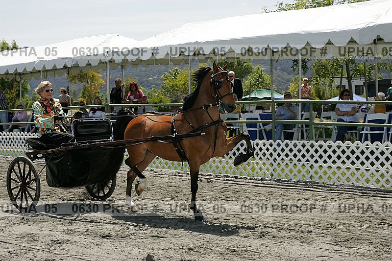 Proof upha_05__0630
