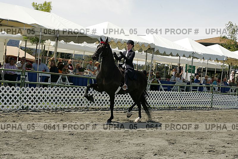Proof upha_05__0641