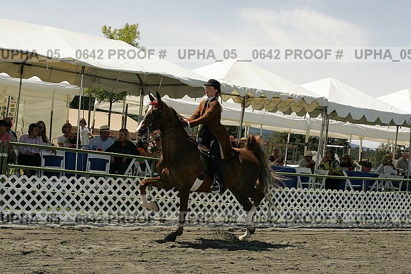 Proof upha_05__0642