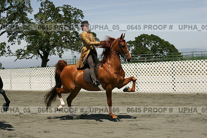 Proof upha_05__0645