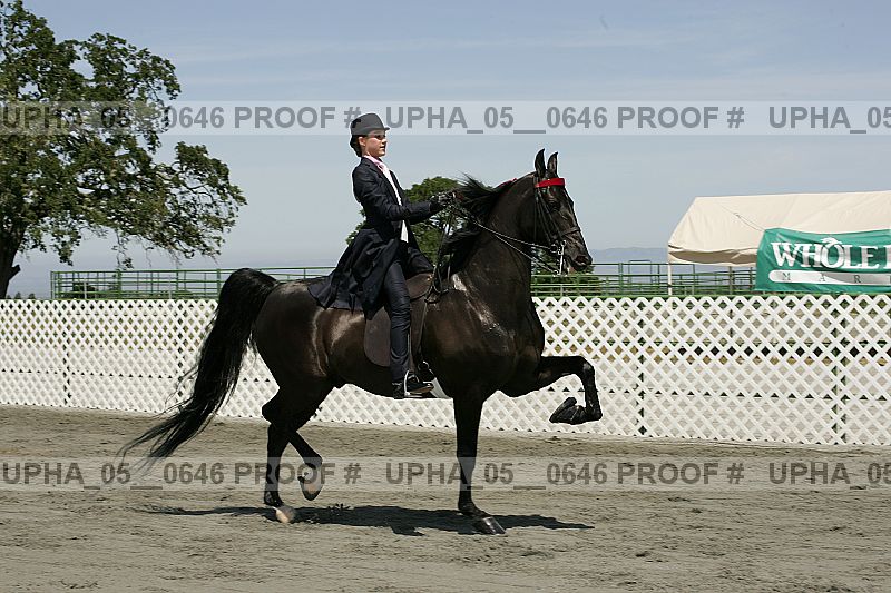 Proof upha_05__0646