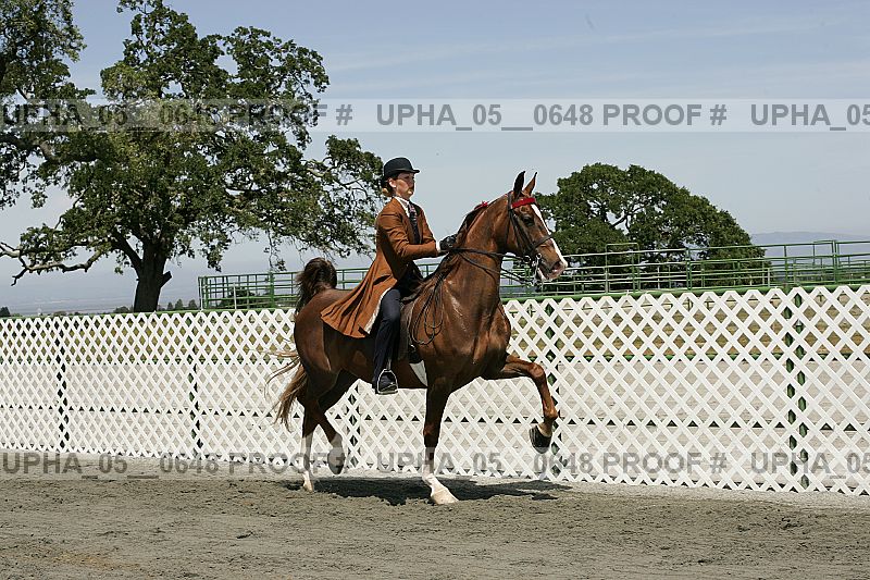 Proof upha_05__0648