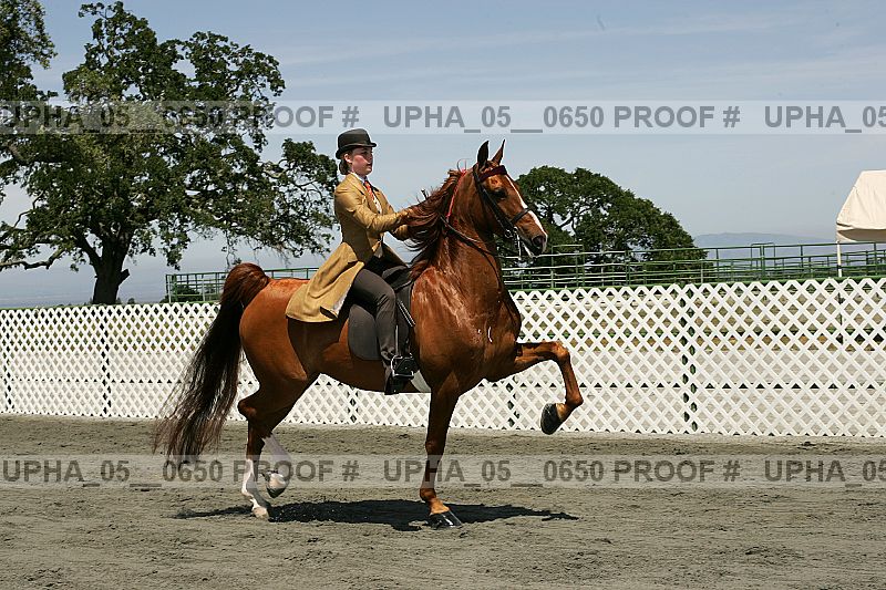 Proof upha_05__0650