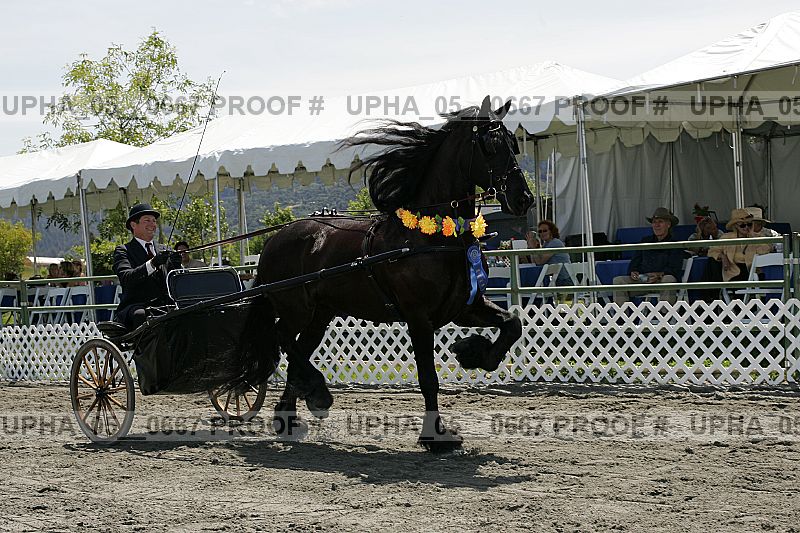 Proof upha_05__0667