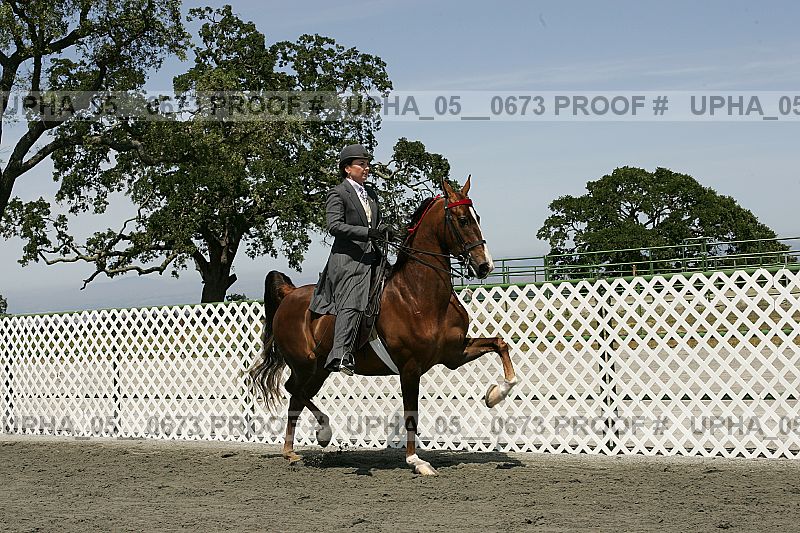 Proof upha_05__0673