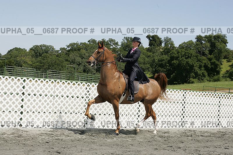 Proof upha_05__0687