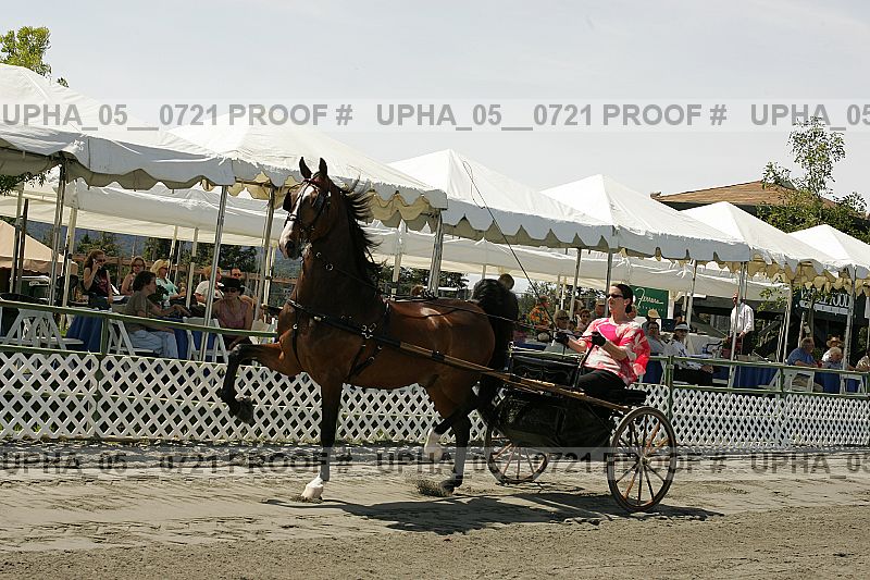 Proof upha_05__0721