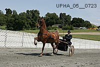 upha_05__0723 proof