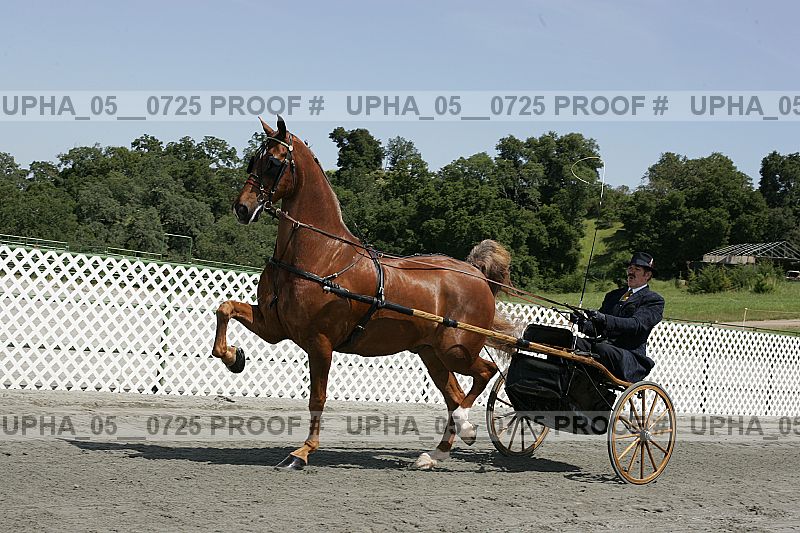 Proof upha_05__0725