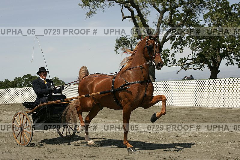 Proof upha_05__0729