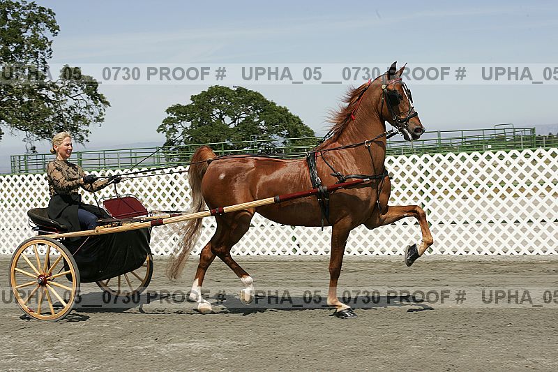 Proof upha_05__0730
