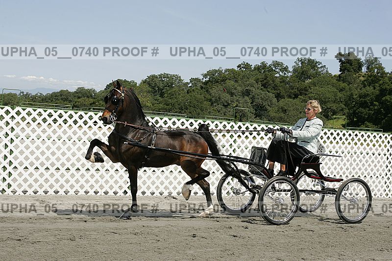 Proof upha_05__0740