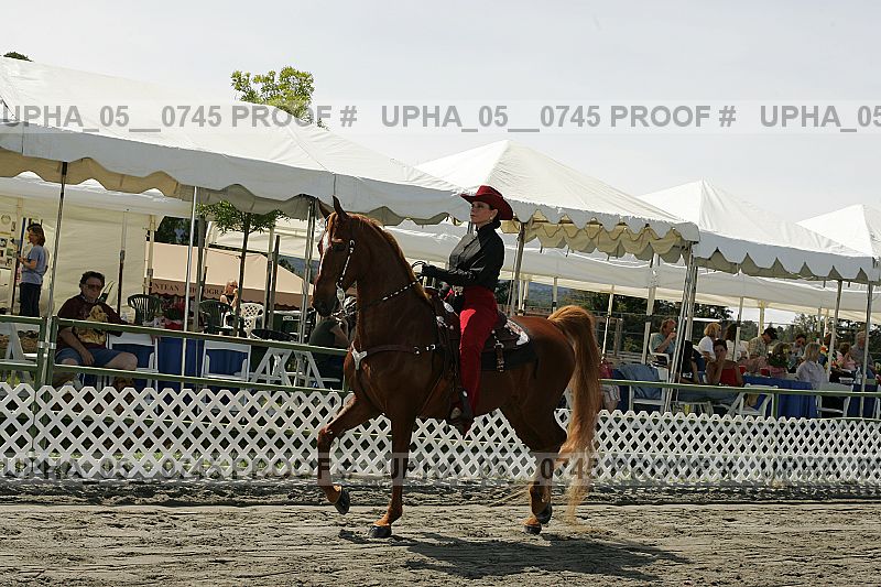 Proof upha_05__0745