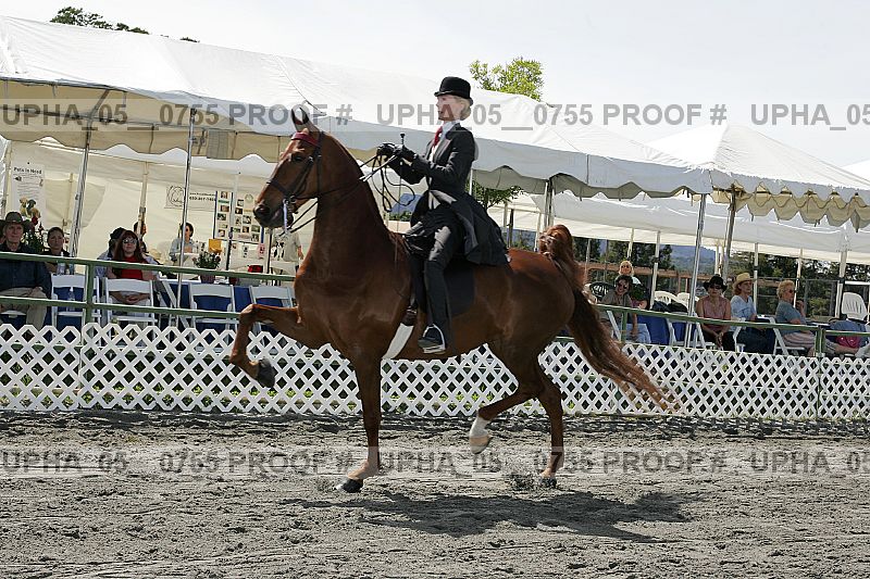 Proof upha_05__0755