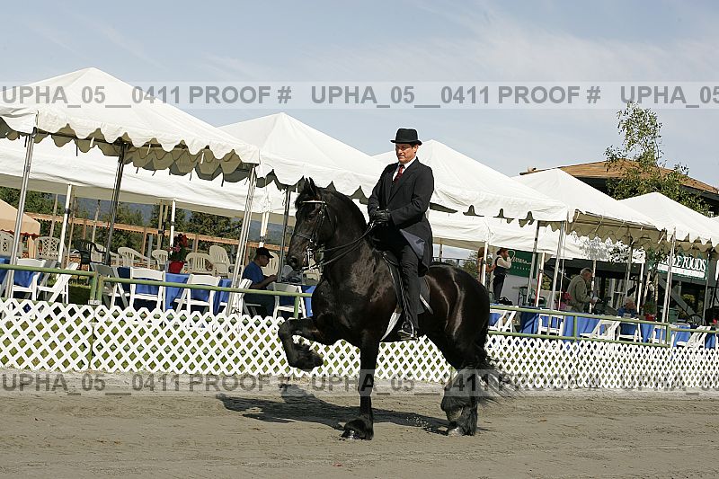 Proof upha_05__0411