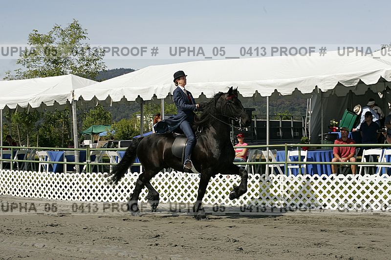 Proof upha_05__0413