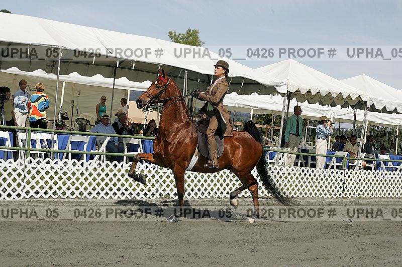 Proof upha_05__0426