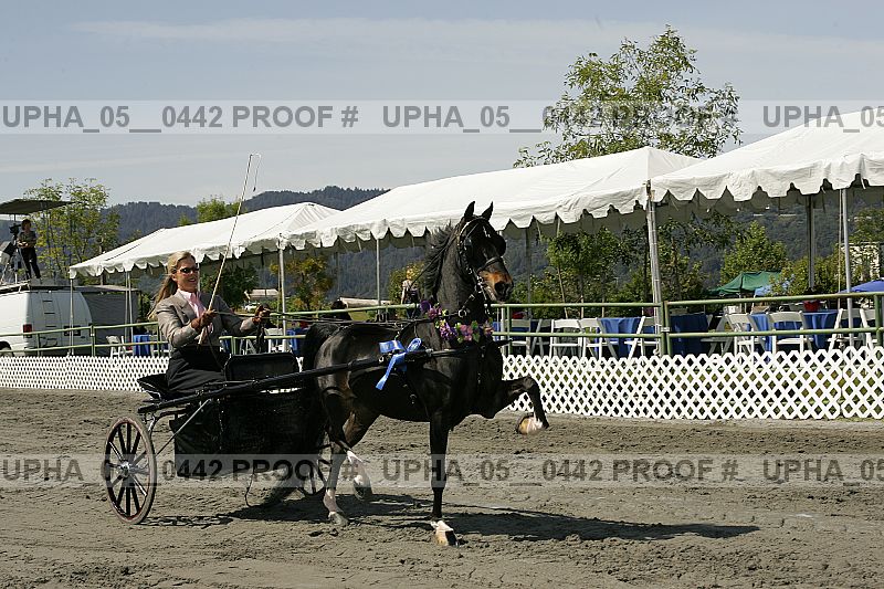 Proof upha_05__0442