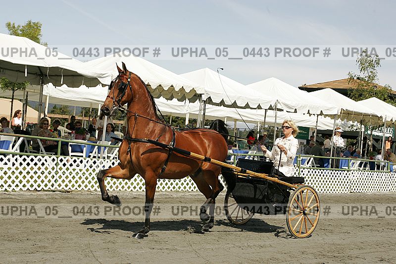 Proof upha_05__0443