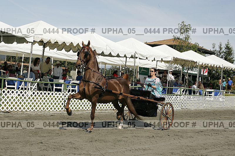Proof upha_05__0444