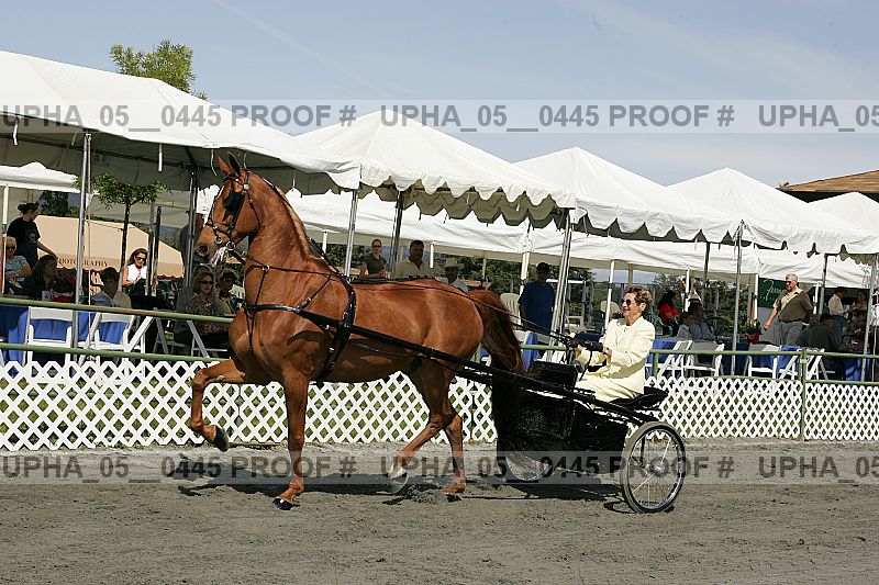 Proof upha_05__0445
