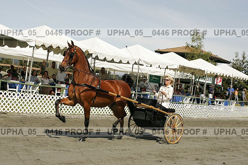 Proof upha_05__0446