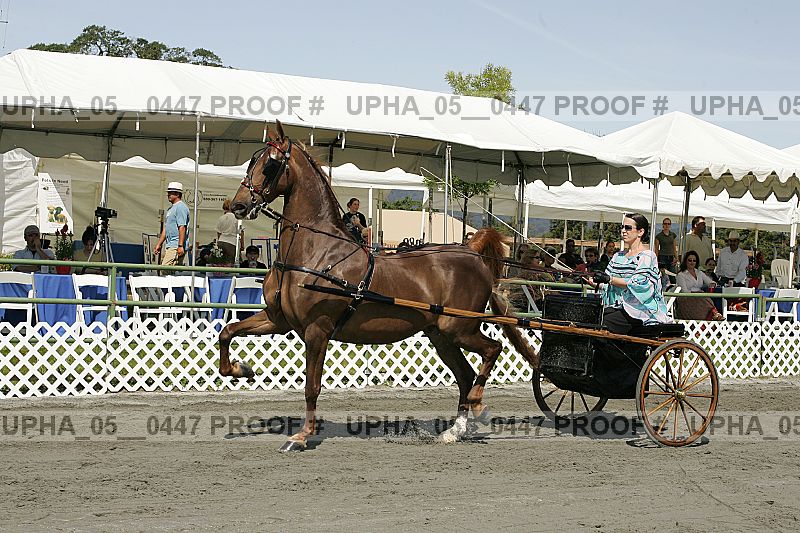 Proof upha_05__0447
