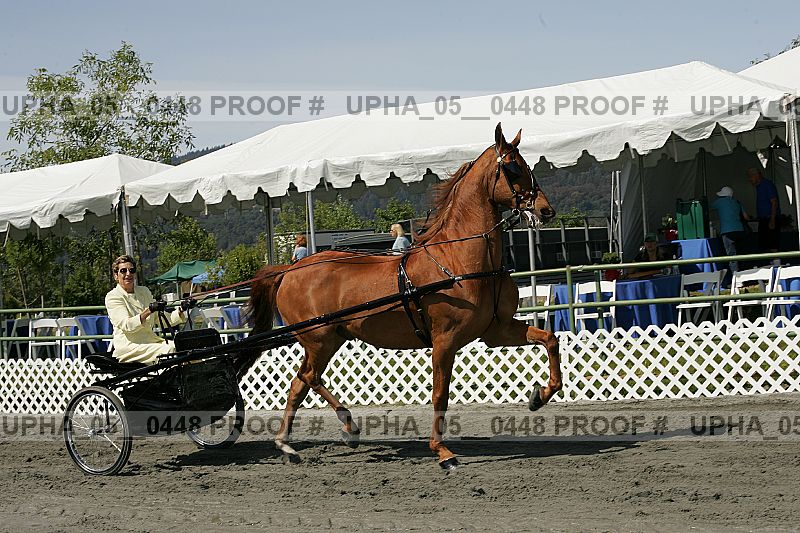 Proof upha_05__0448