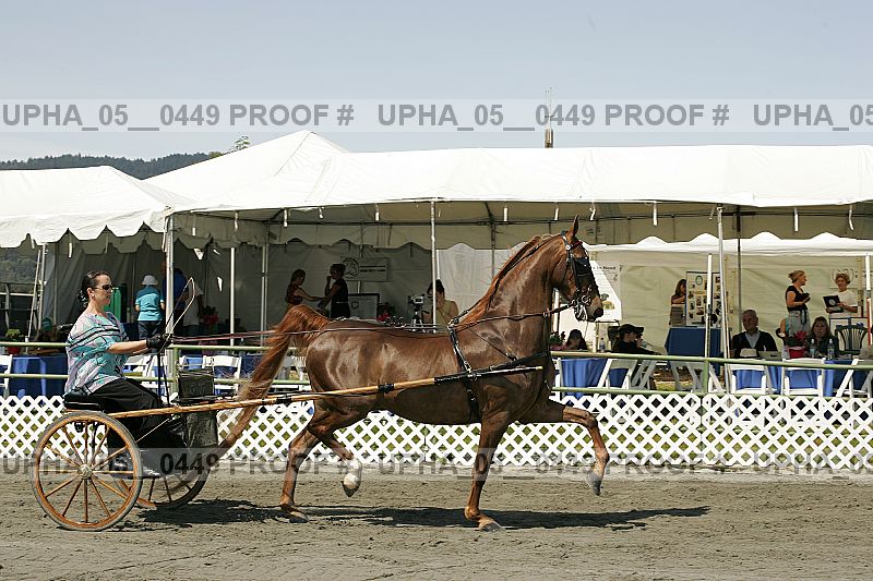 Proof upha_05__0449