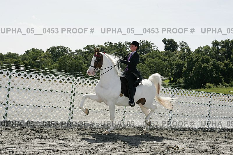 Proof upha_05__0453