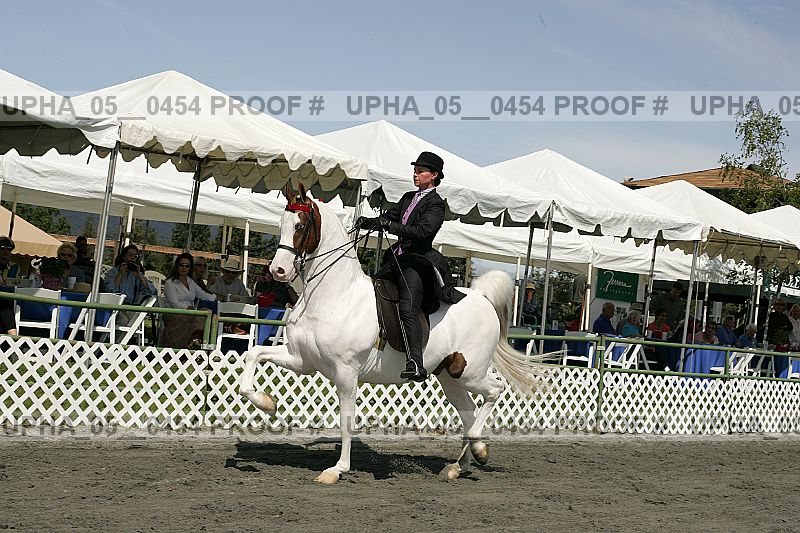 Proof upha_05__0454